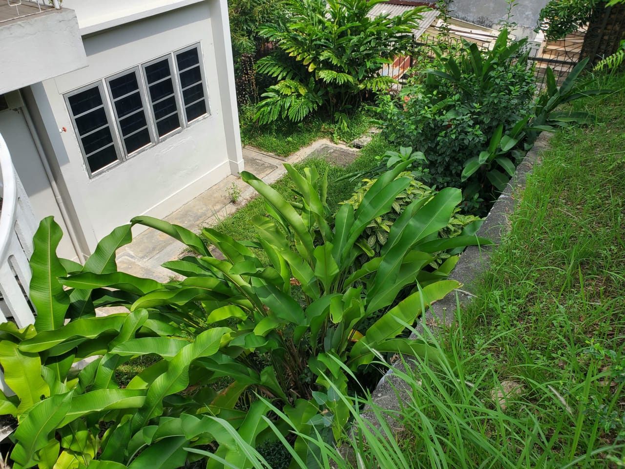 OUG Banglow - photo 5
