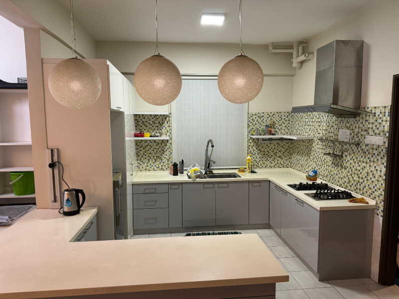 Park 51 Residency - photo 4