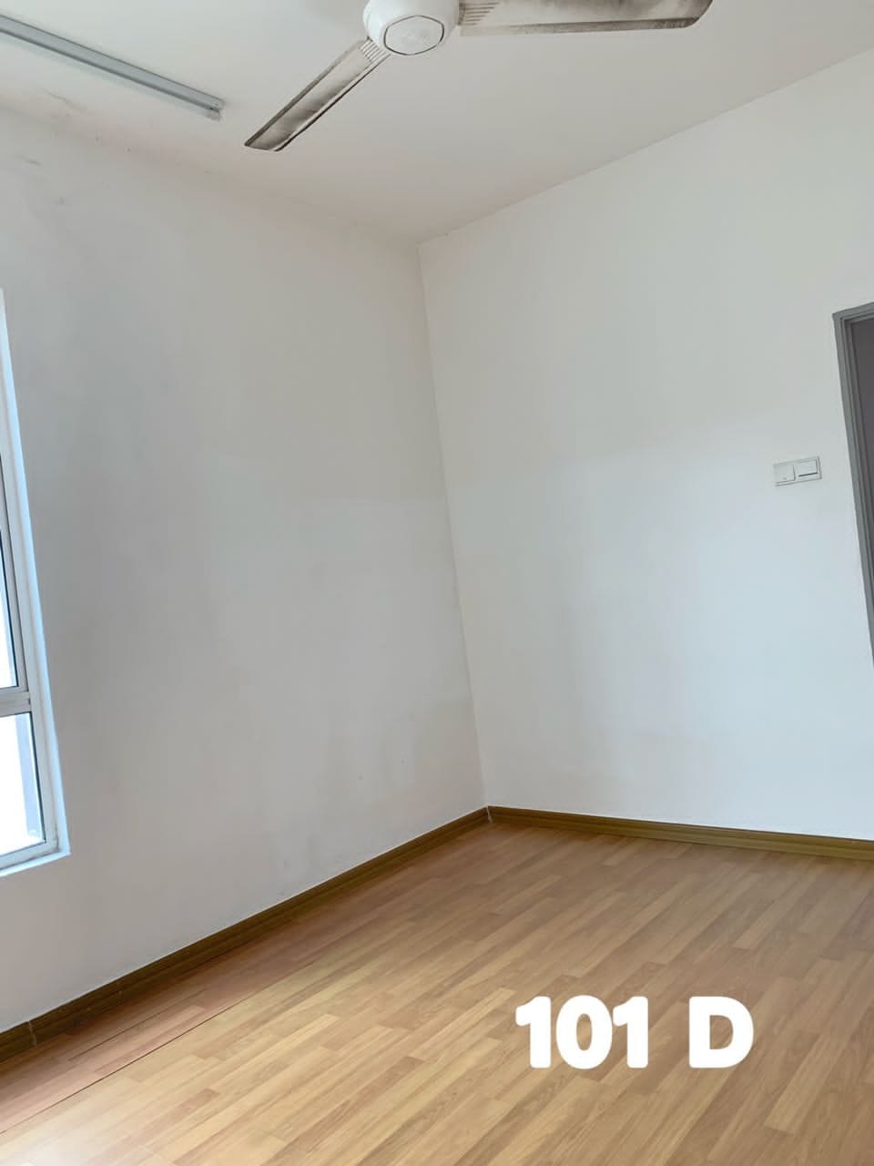 1080000 canary garden - photo 5