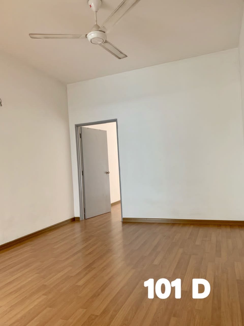 1080000 canary garden - photo 6
