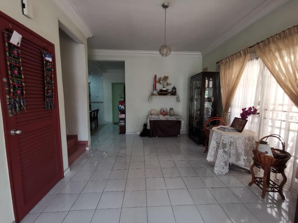 880k anggerik doritis - photo 9