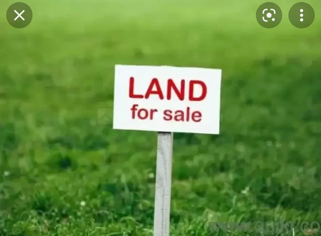 450k teluk pulai - photo 1