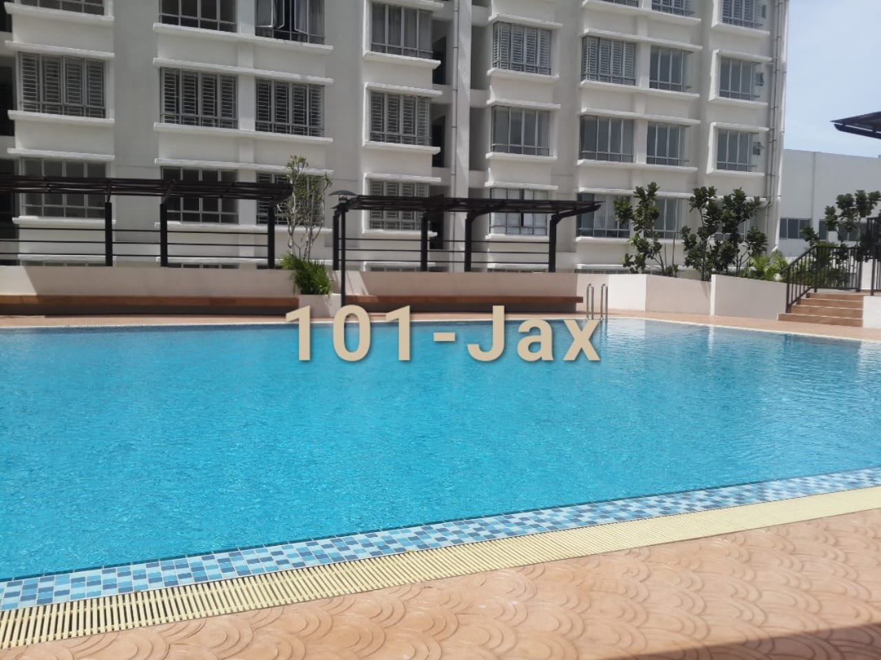 240k palm garden - photo 3
