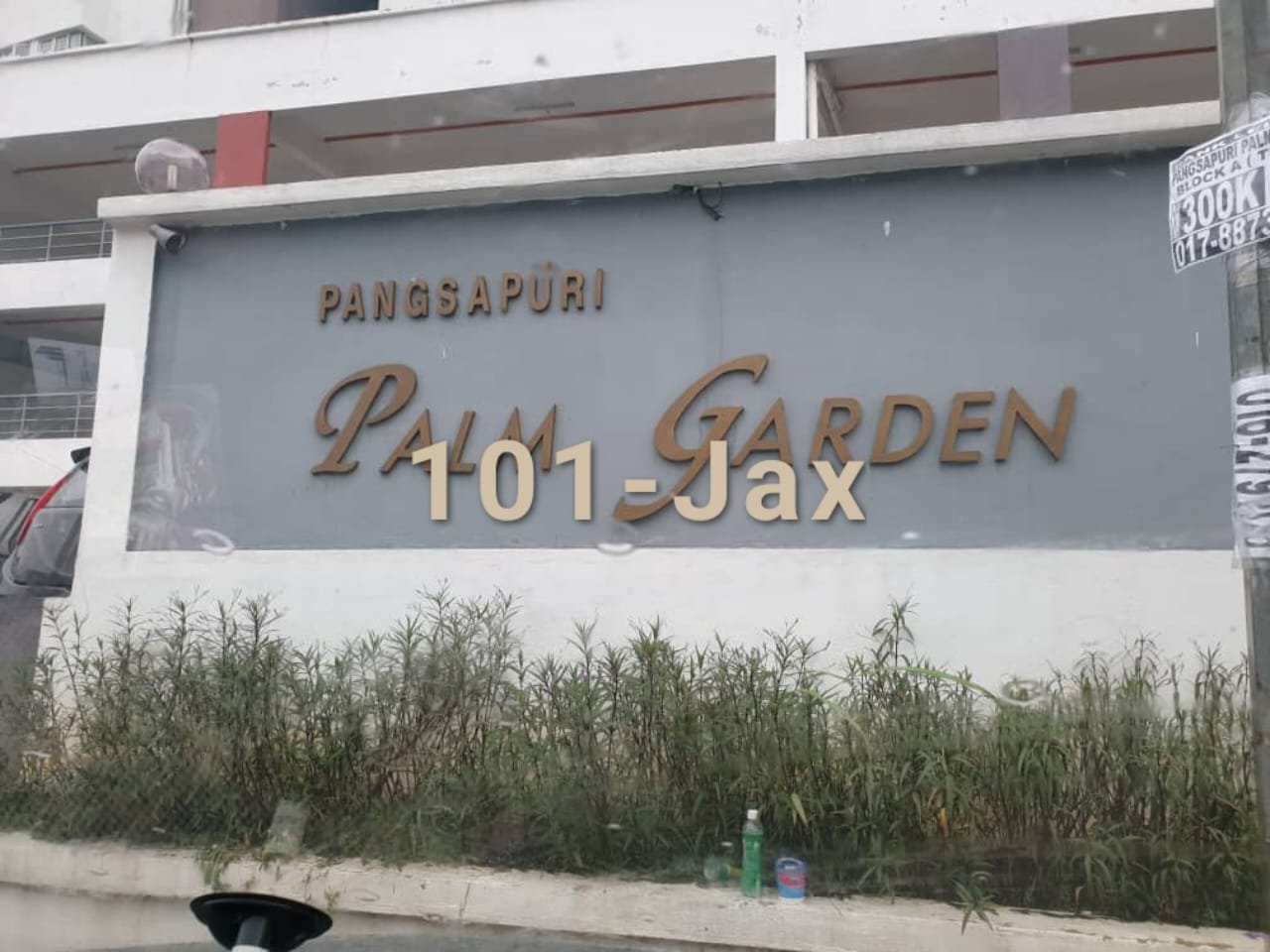 240k palm garden - photo 4