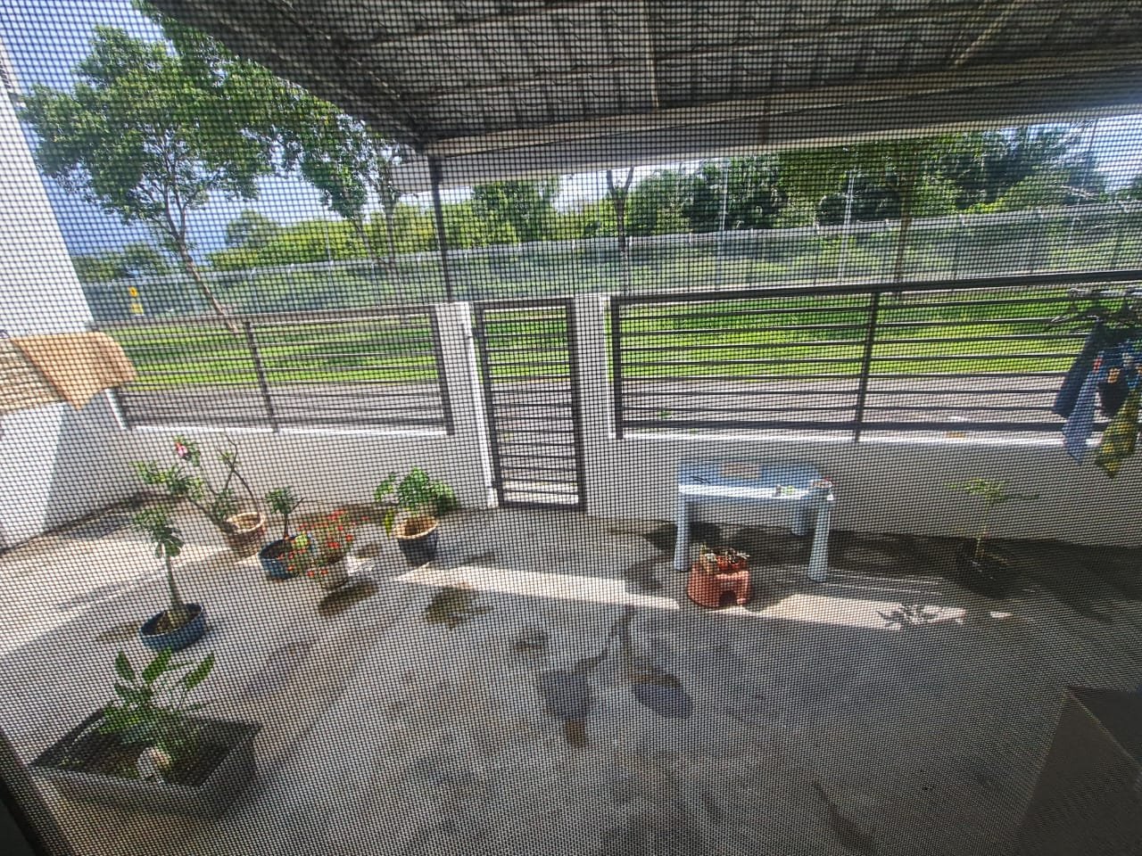 1080000 ambang botanic 2 - photo 6