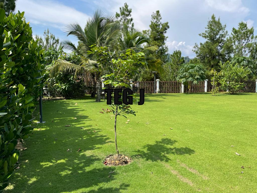 5800000 Setia Eco Park - photo 7