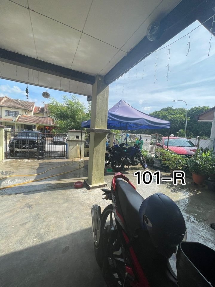 680k anggerik doritis - photo 7