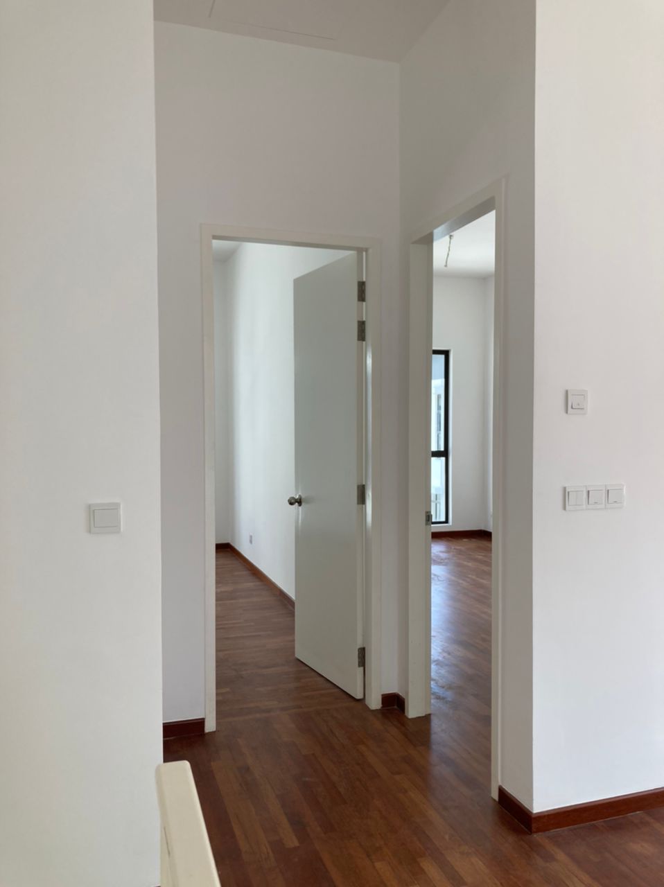 1290000 castanea - photo 13