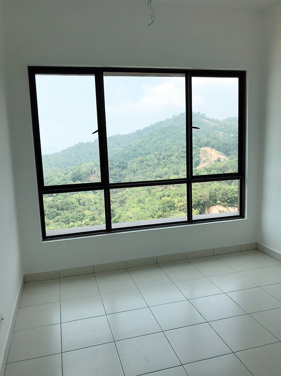 Forestville 6273 Hillview - photo 7