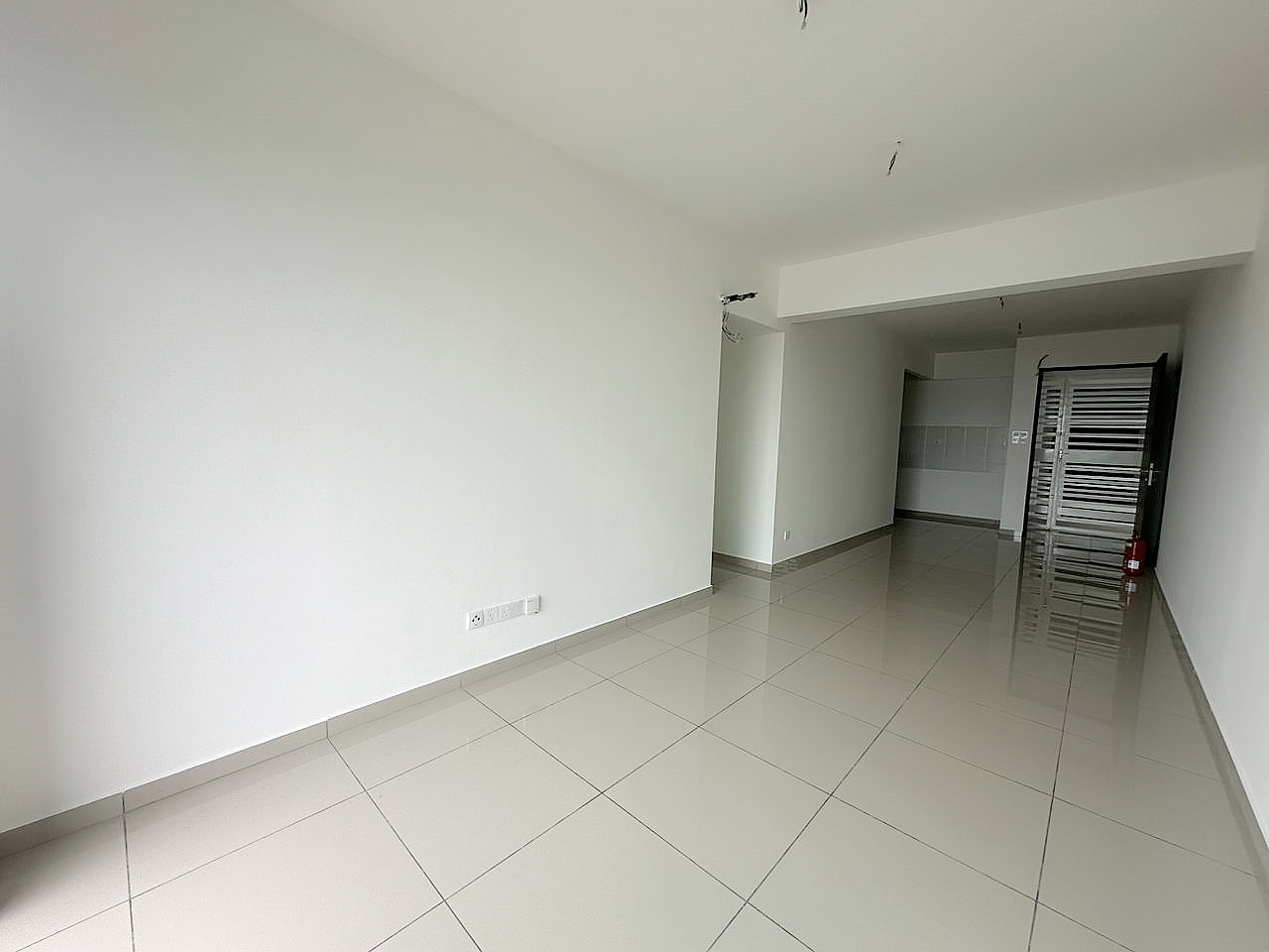 TreeO 21171 - photo 2