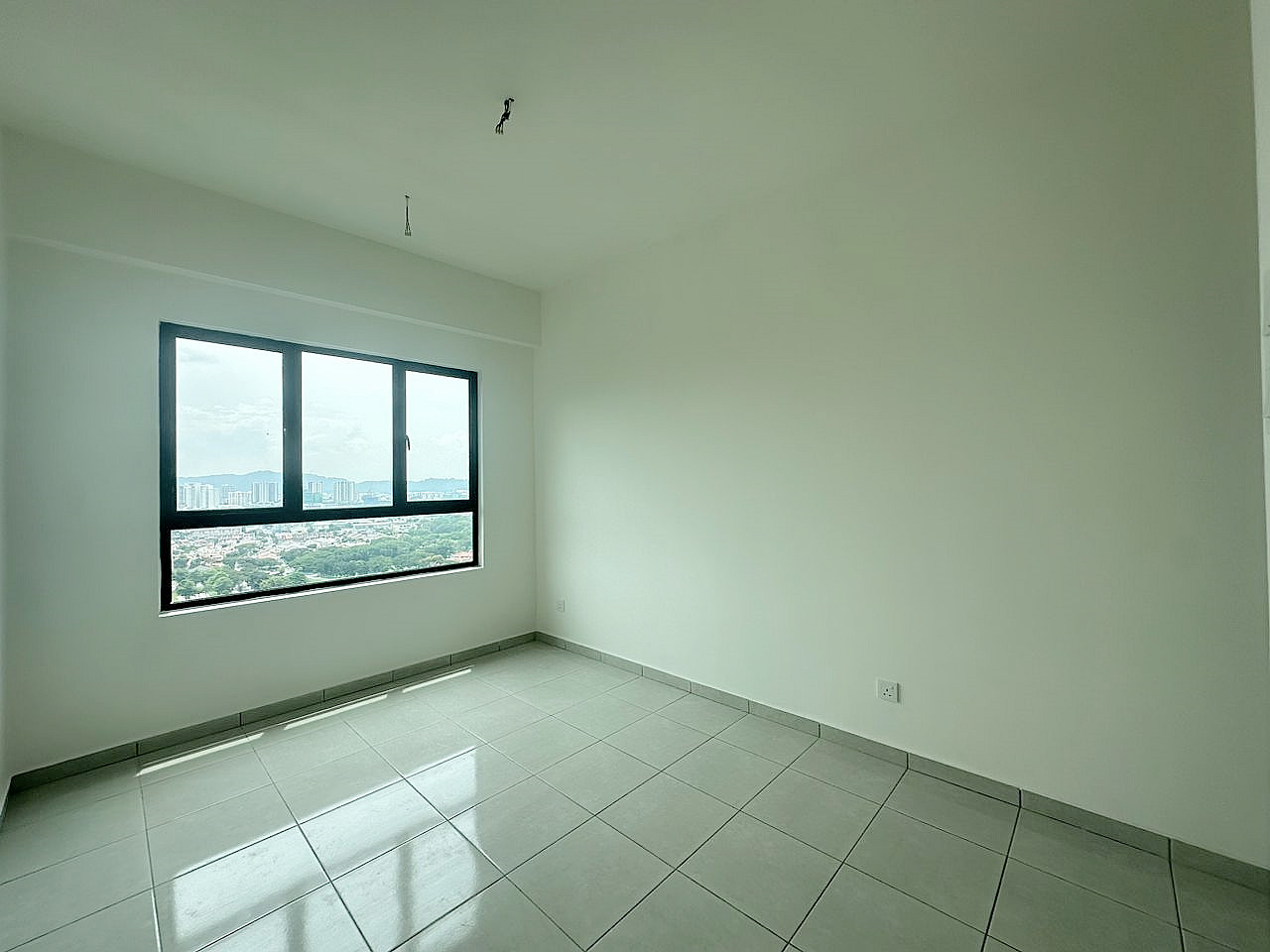 TreeO 21171 - photo 5
