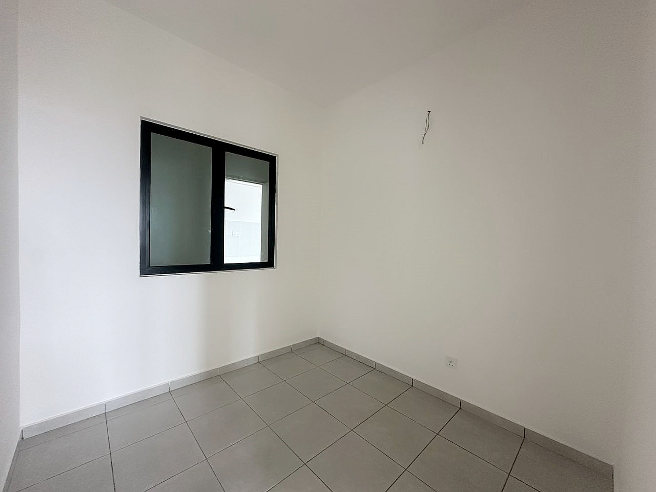 TreeO 21171 - photo 7