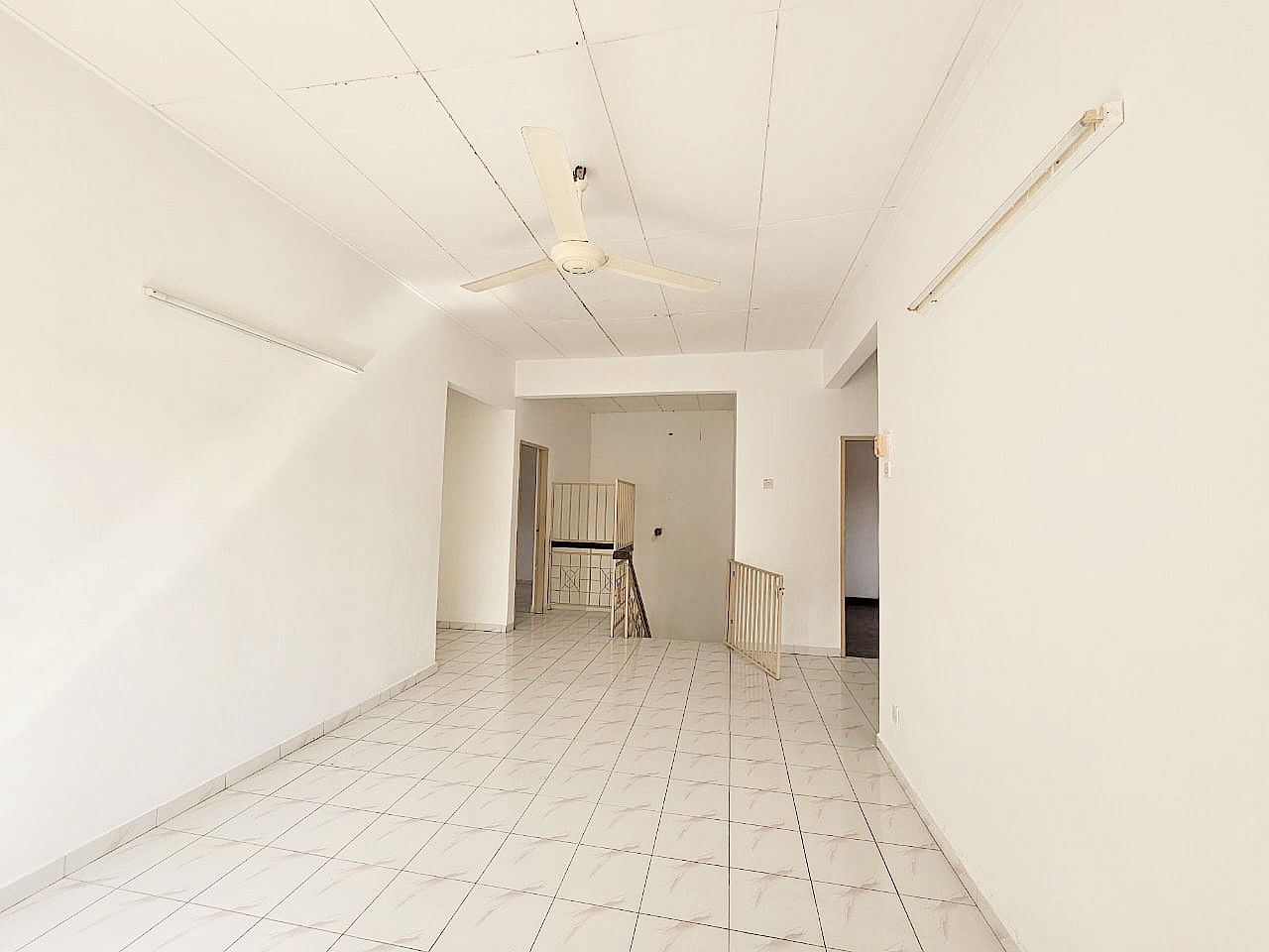 Kenari 21068 - photo 5