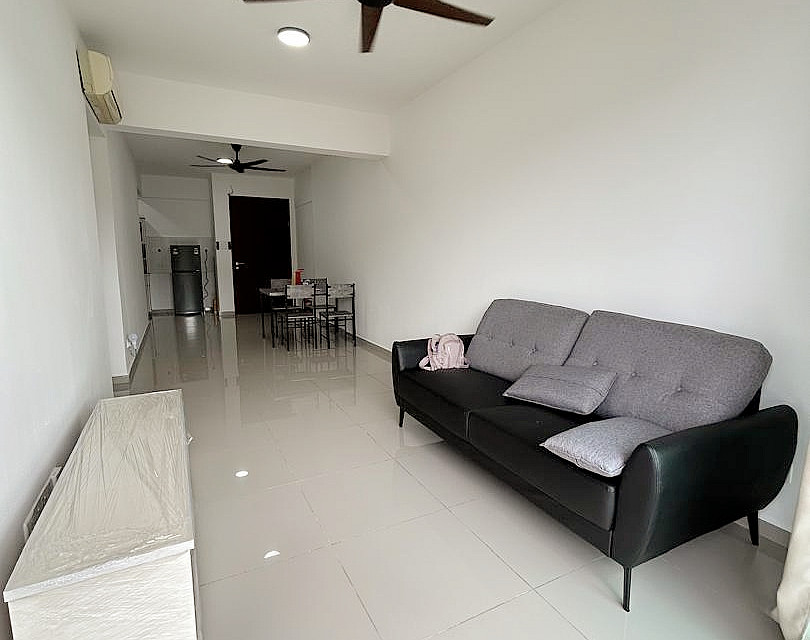 TreeO 22244