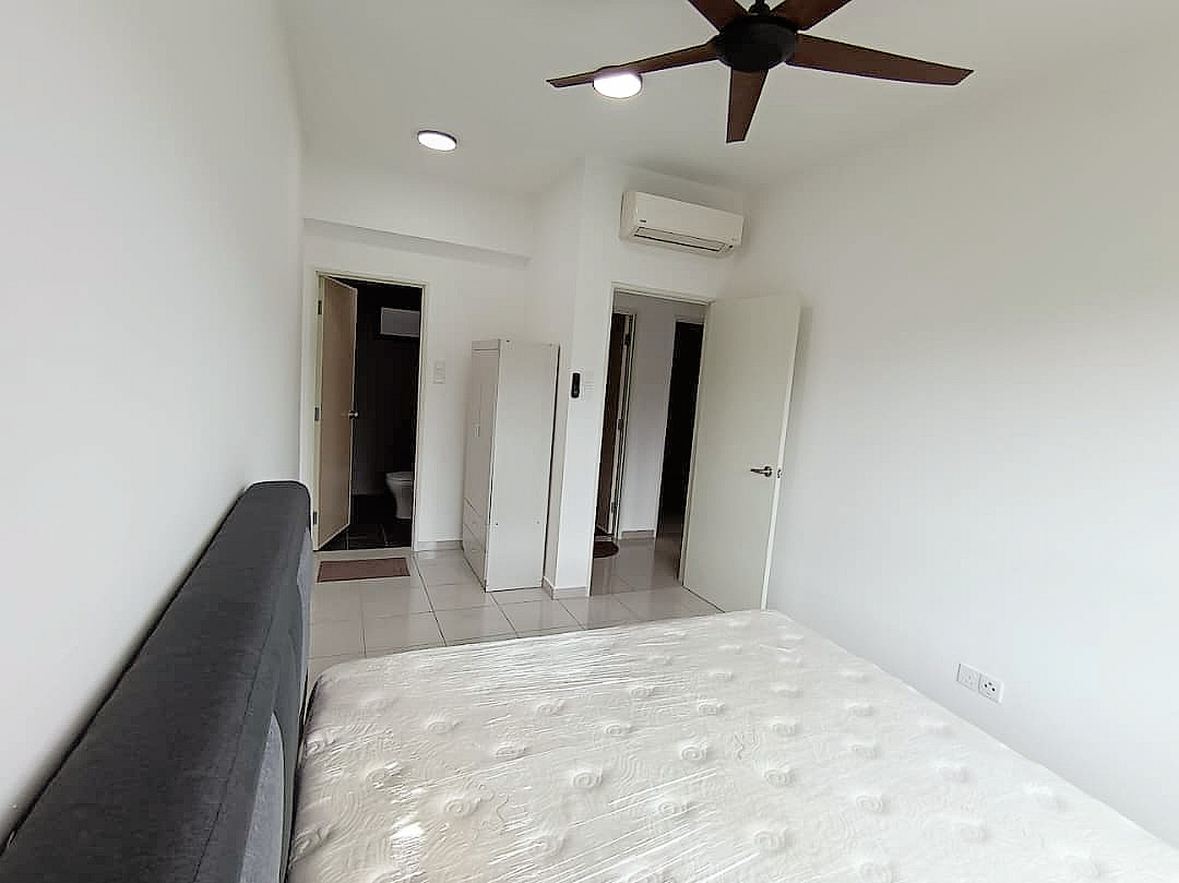 TreeO 22244 - photo 4