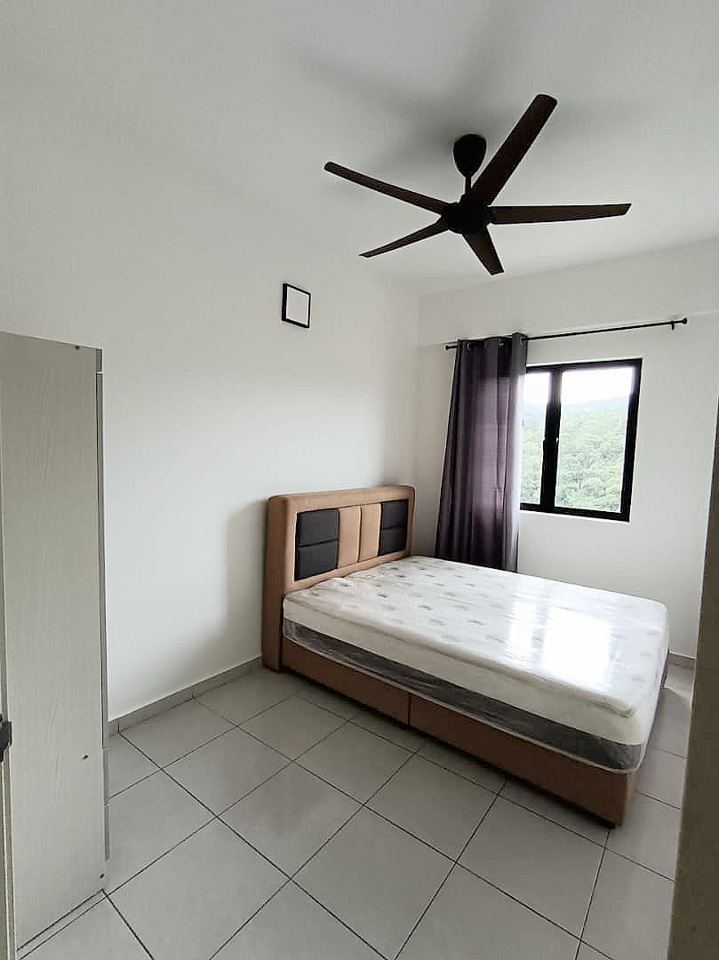 TreeO 22244 - photo 6