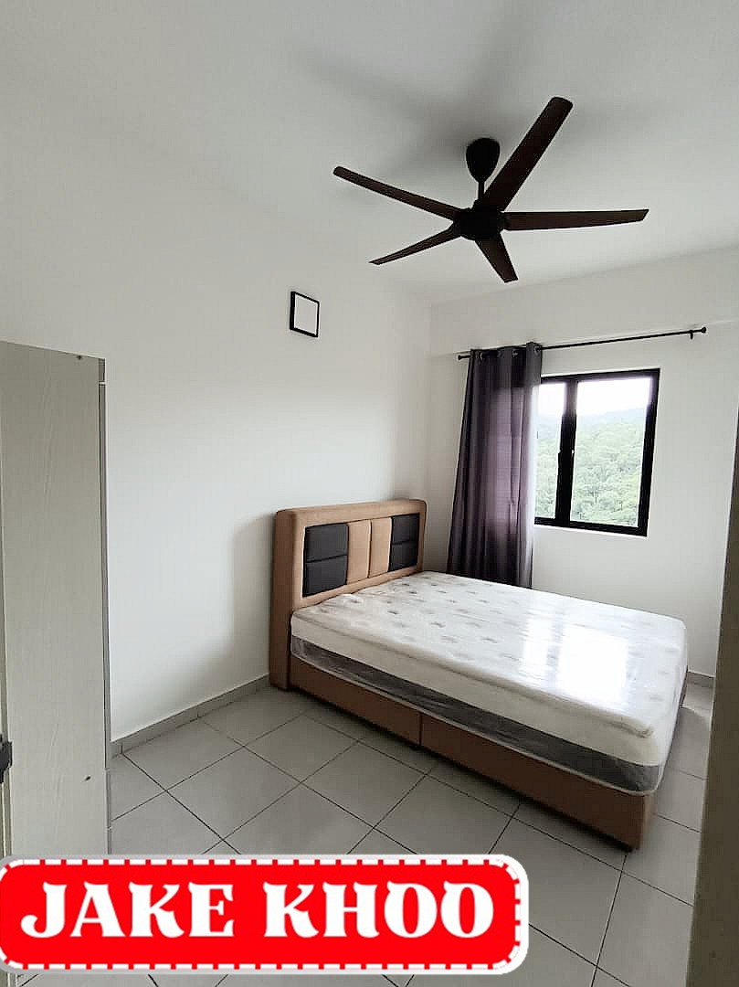 TreeO 22244 - photo 6