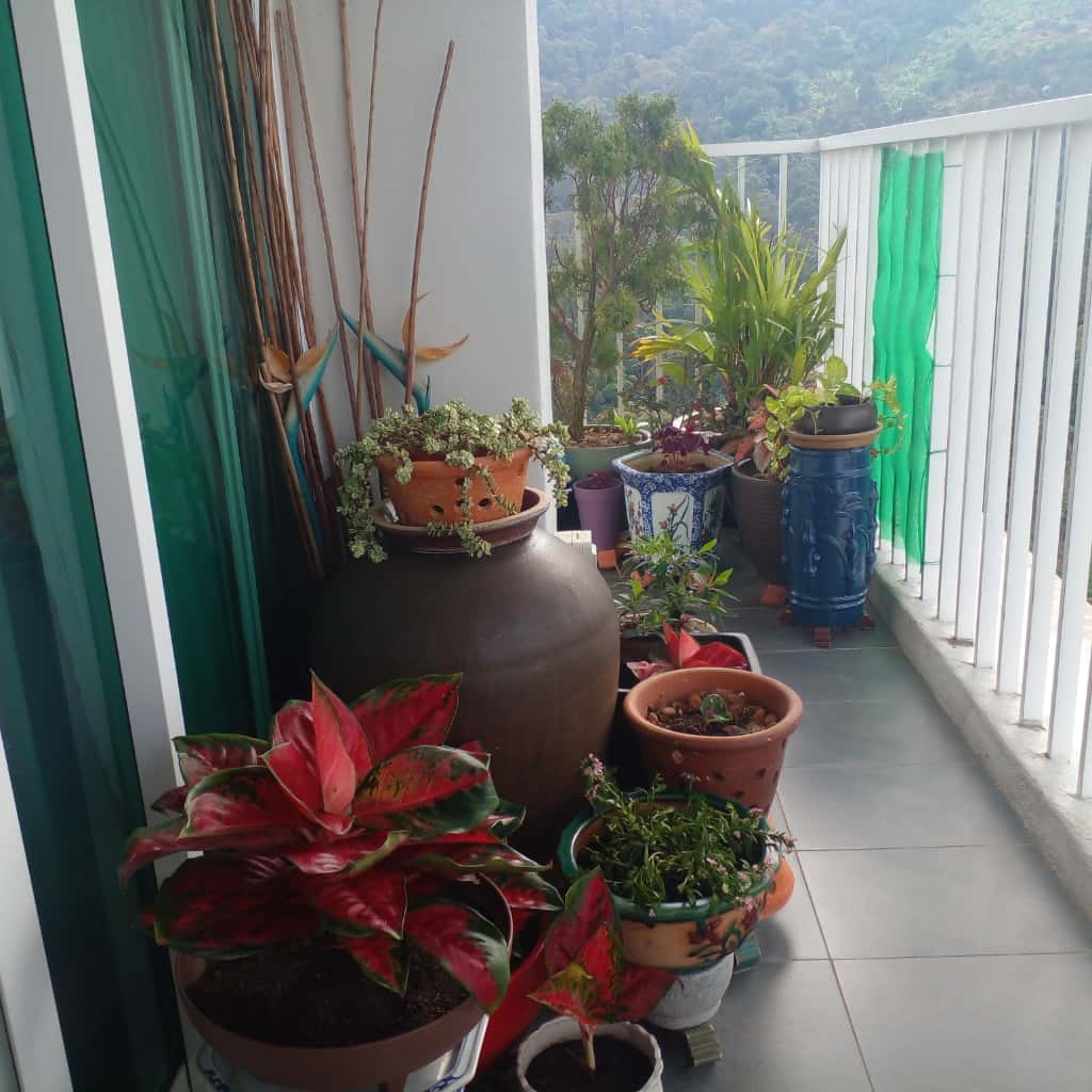 Setia Pinnacle, 22232 - photo 7