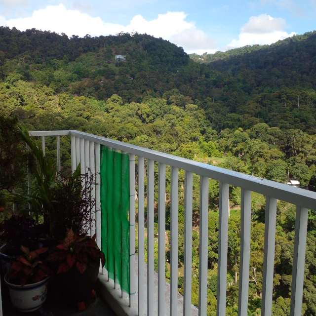 Setia Pinnacle, 22232 - photo 10