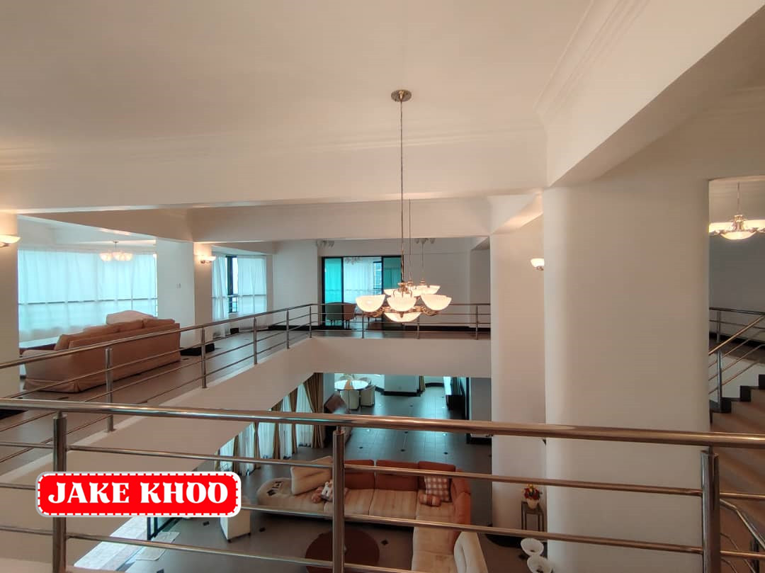 Silverton Condo Penthouse - photo 4