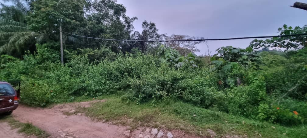 5 Ekar Rembau, KoTA Negeri Sembilan, Land for Sale - photo 3