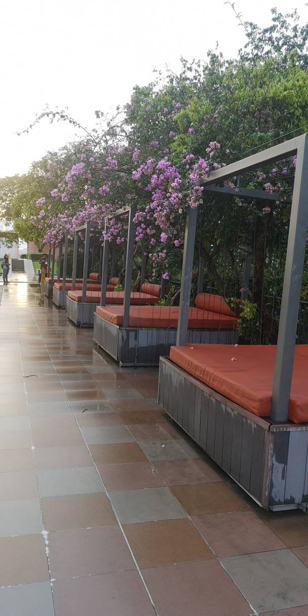 The Maple Sentul West, Sentul - photo 8