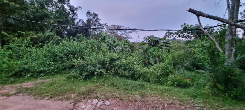 Rembau, kota Negeri Sembilan - photo 3