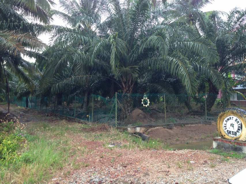 Pontian, Johor Sekolah Seri Bugis - photo 7