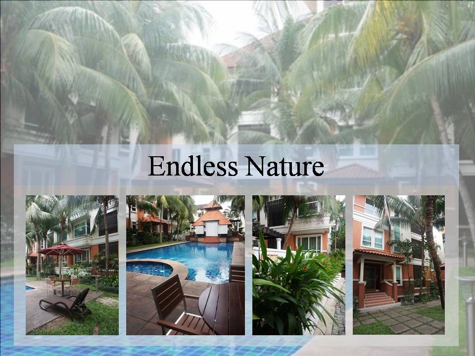325 Richie 4300 sqft 5p1R5B Fully RM 12000 - photo 5