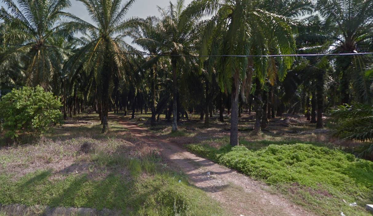 3acre Main Road Zoni ...