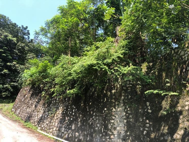 Land for sale Sungai Penchala - photo 5