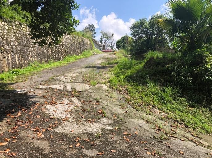 Land for sale Sungai Penchala - photo 6