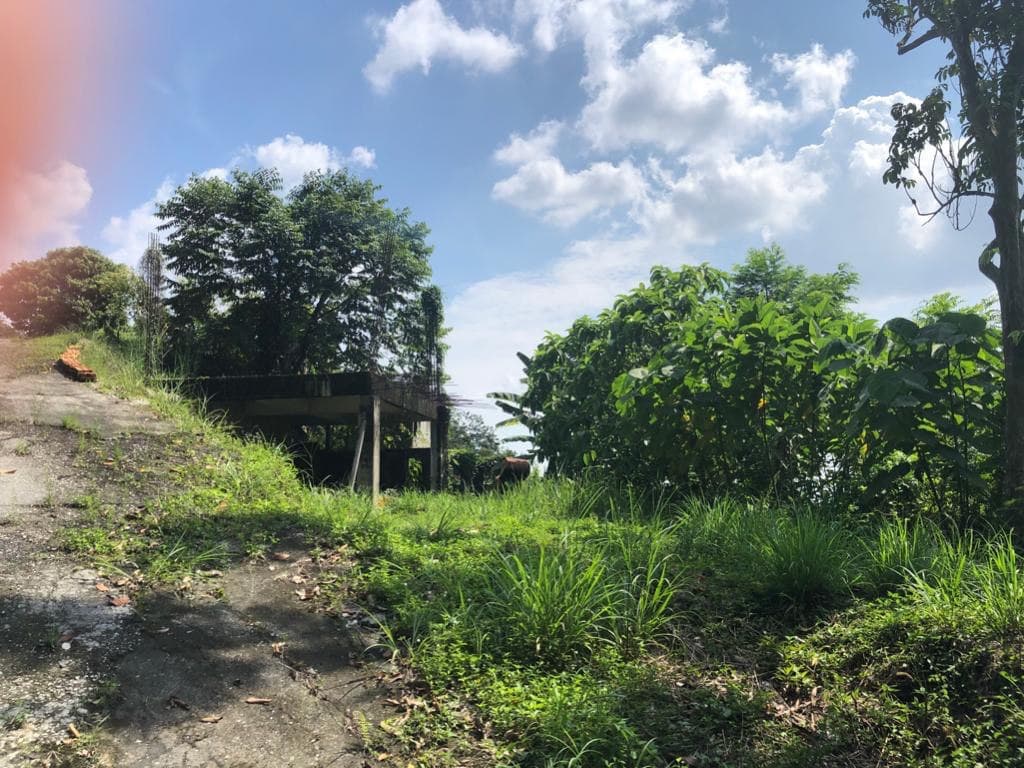 Land for sale Sungai Penchala - photo 7