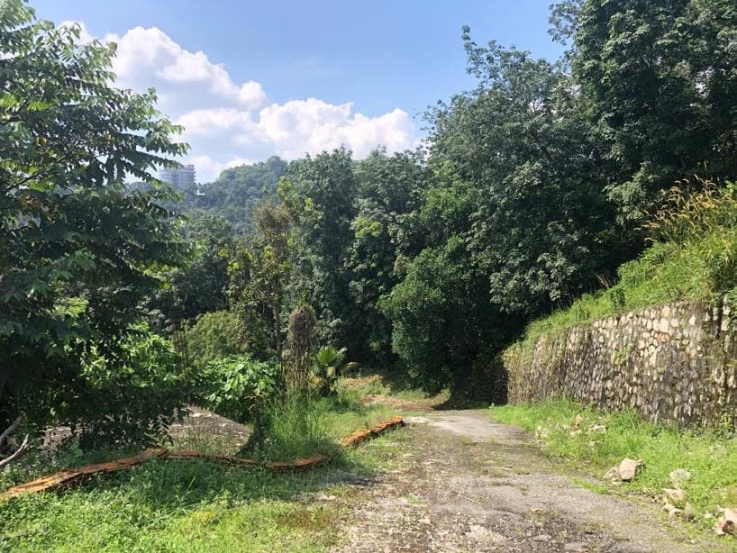 Land for sale Sungai Penchala - photo 13