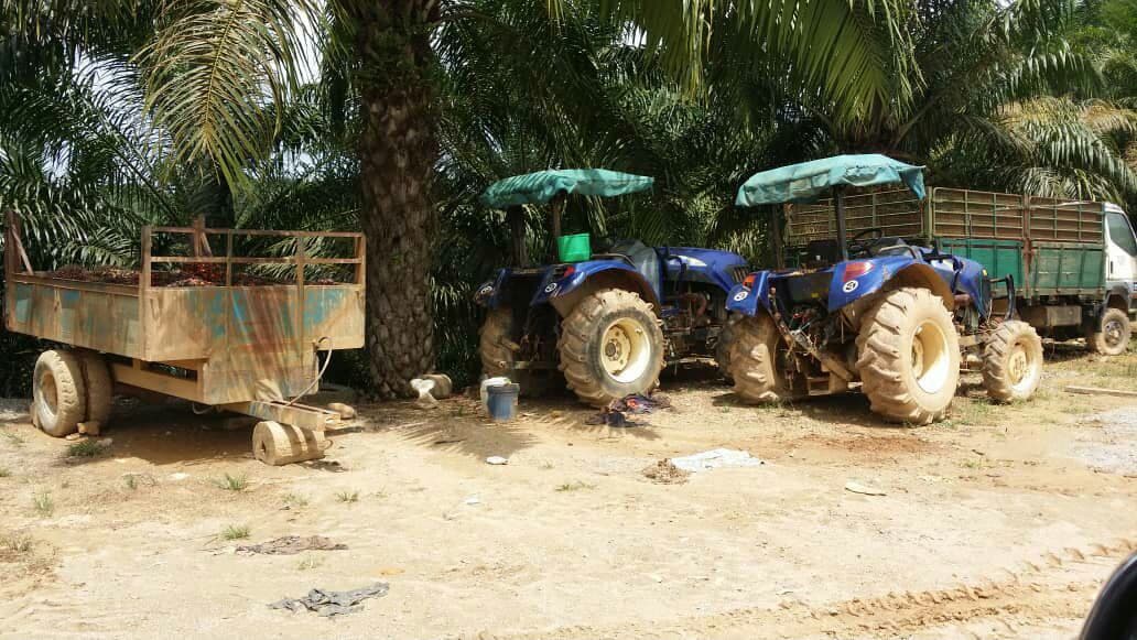 TANAH LADANG SAWIT UNTUK DIJUAL TERMASUK ASET LAIN - photo 3