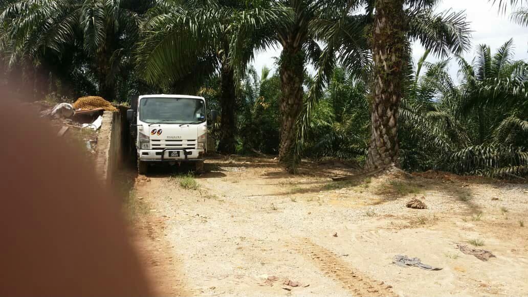 TANAH LADANG SAWIT UNTUK DIJUAL TERMASUK ASET LAIN - photo 6