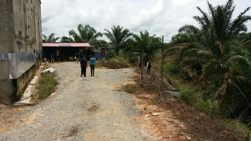 TANAH LADANG SAWIT UNTUK DIJUAL TERMASUK ASET LAIN - photo 8