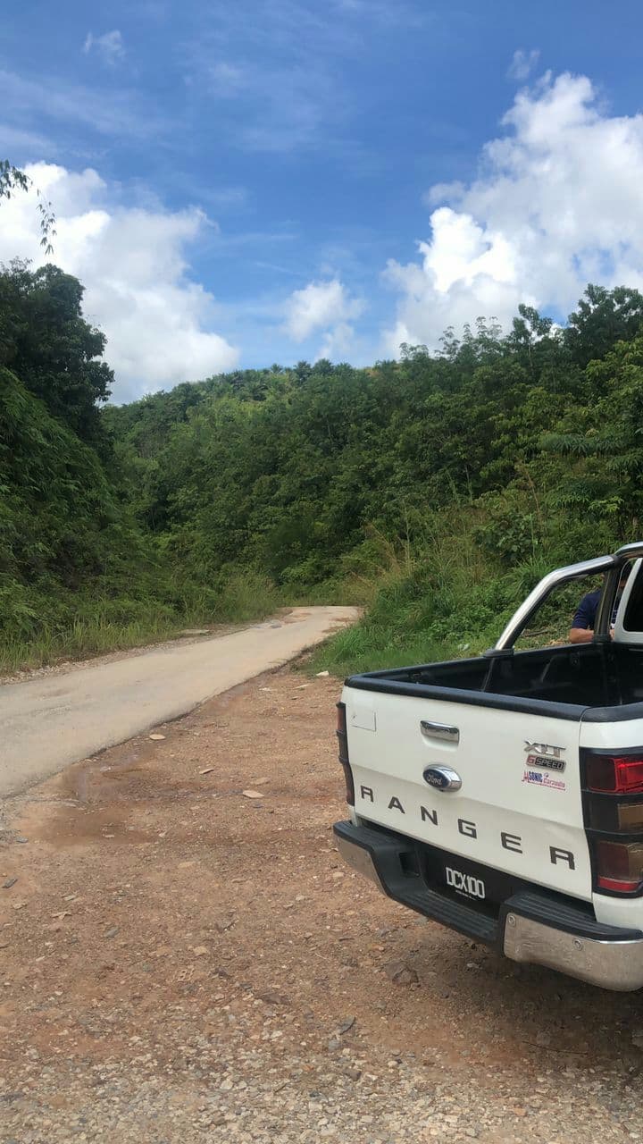 TANAH LADANG SAWIT UNTUK DIJUAL TERMASUK ASET LAIN - photo 11