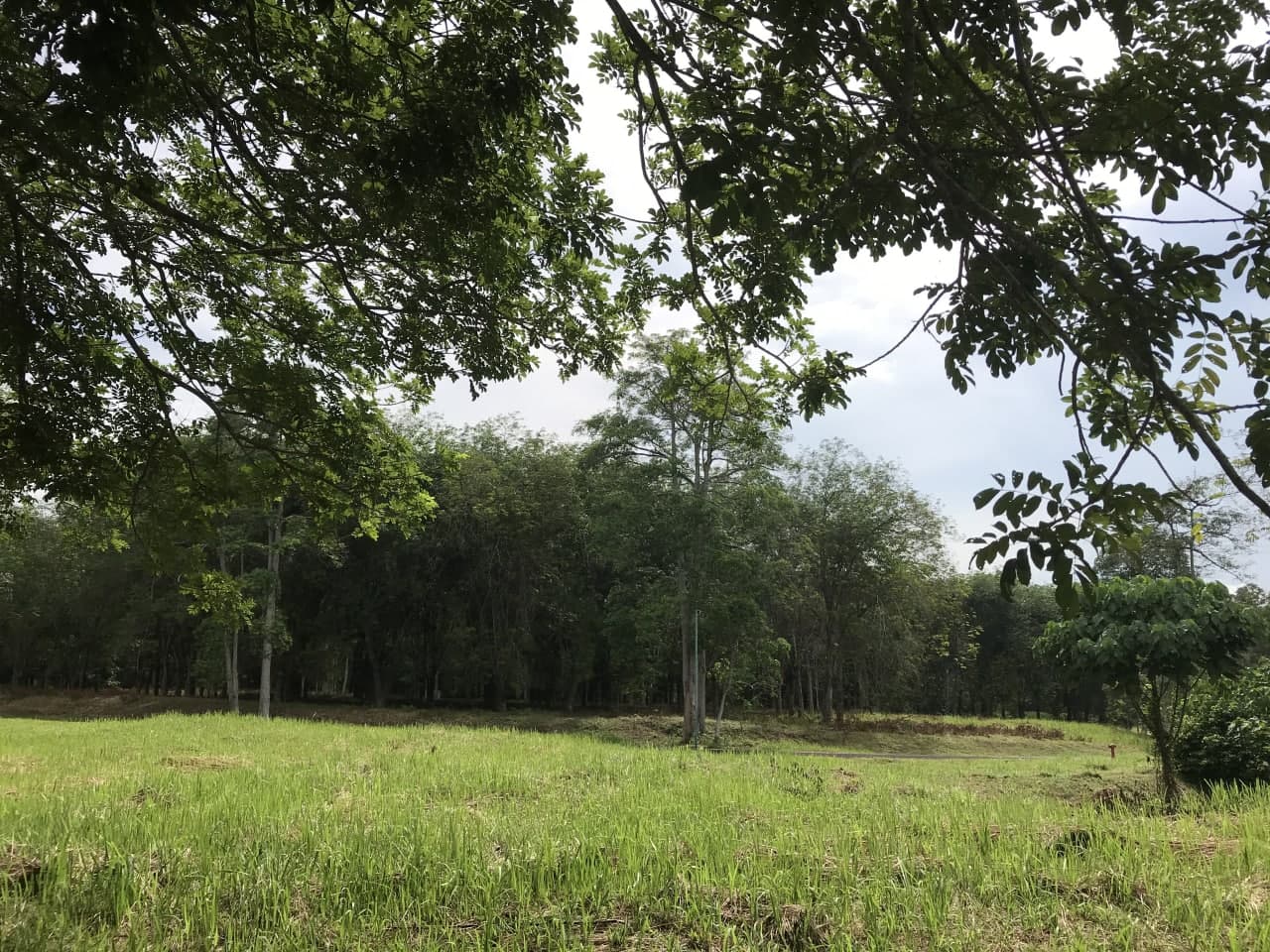 COLLEGE HEIGHTS GARDEN RESIDENTIAL LAND, PAJAM - photo 3