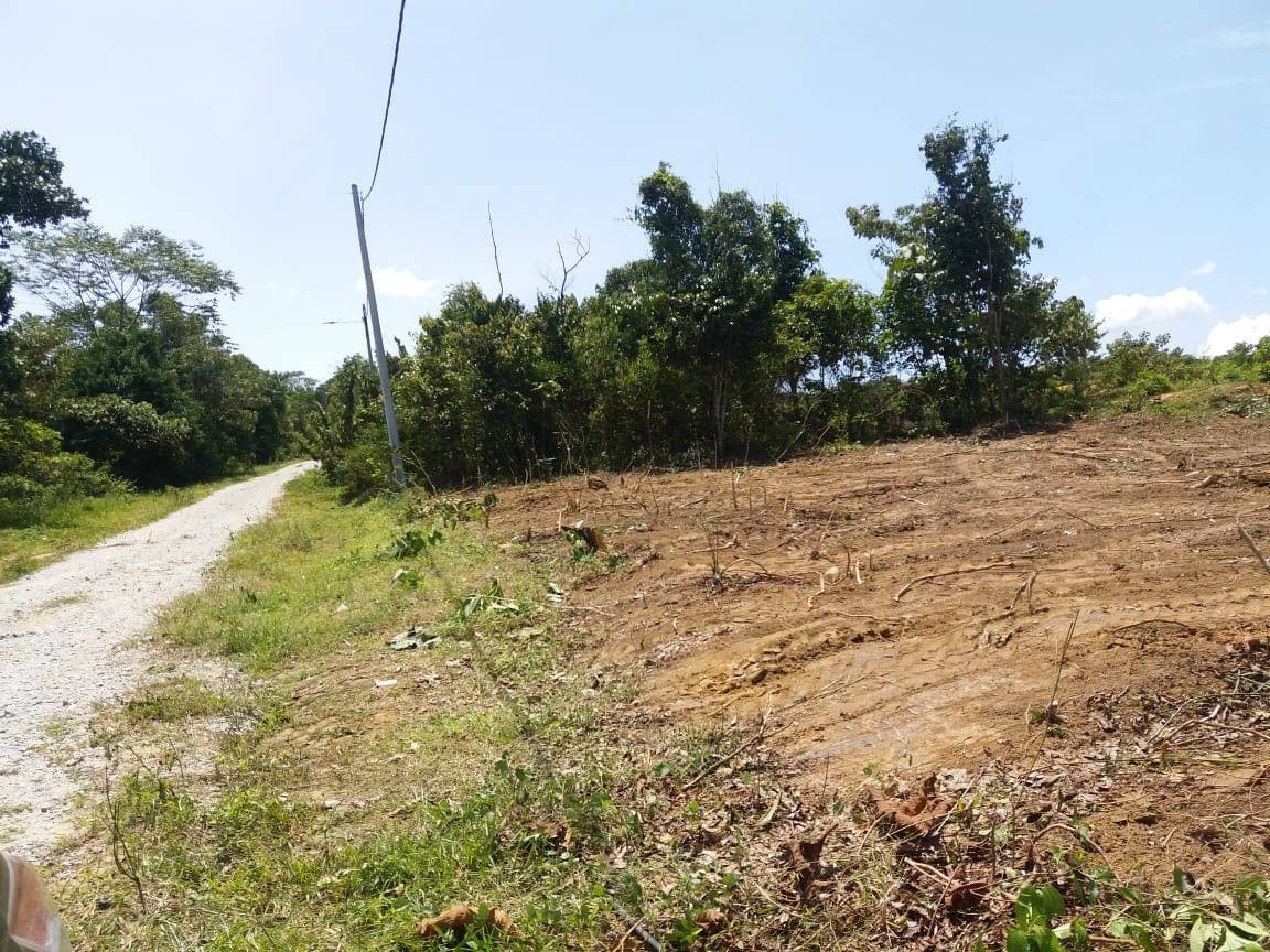 Bungalow Lot, Individual Title Beranang Ulu Langat - photo 4