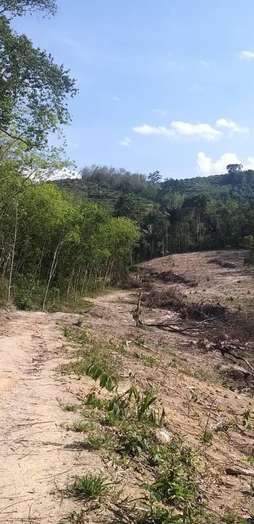 Tanah Pertanian Lenggeng Seremban