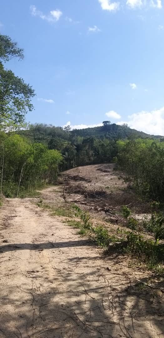 Tanah Pertanian Lenggeng Seremban - photo 2