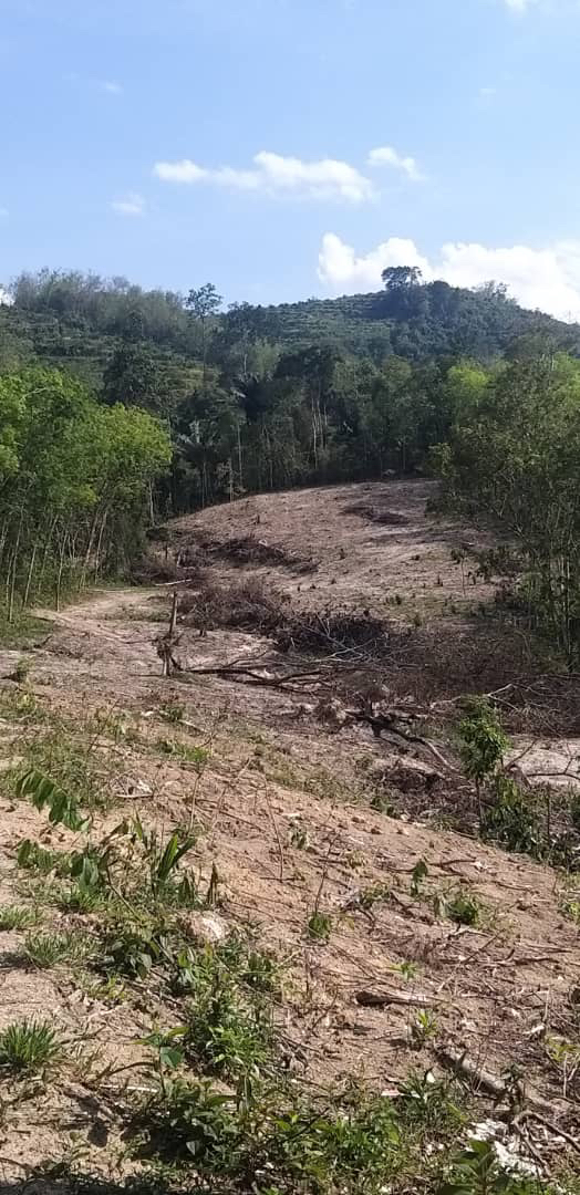 Tanah Pertanian Lenggeng Seremban - photo 6
