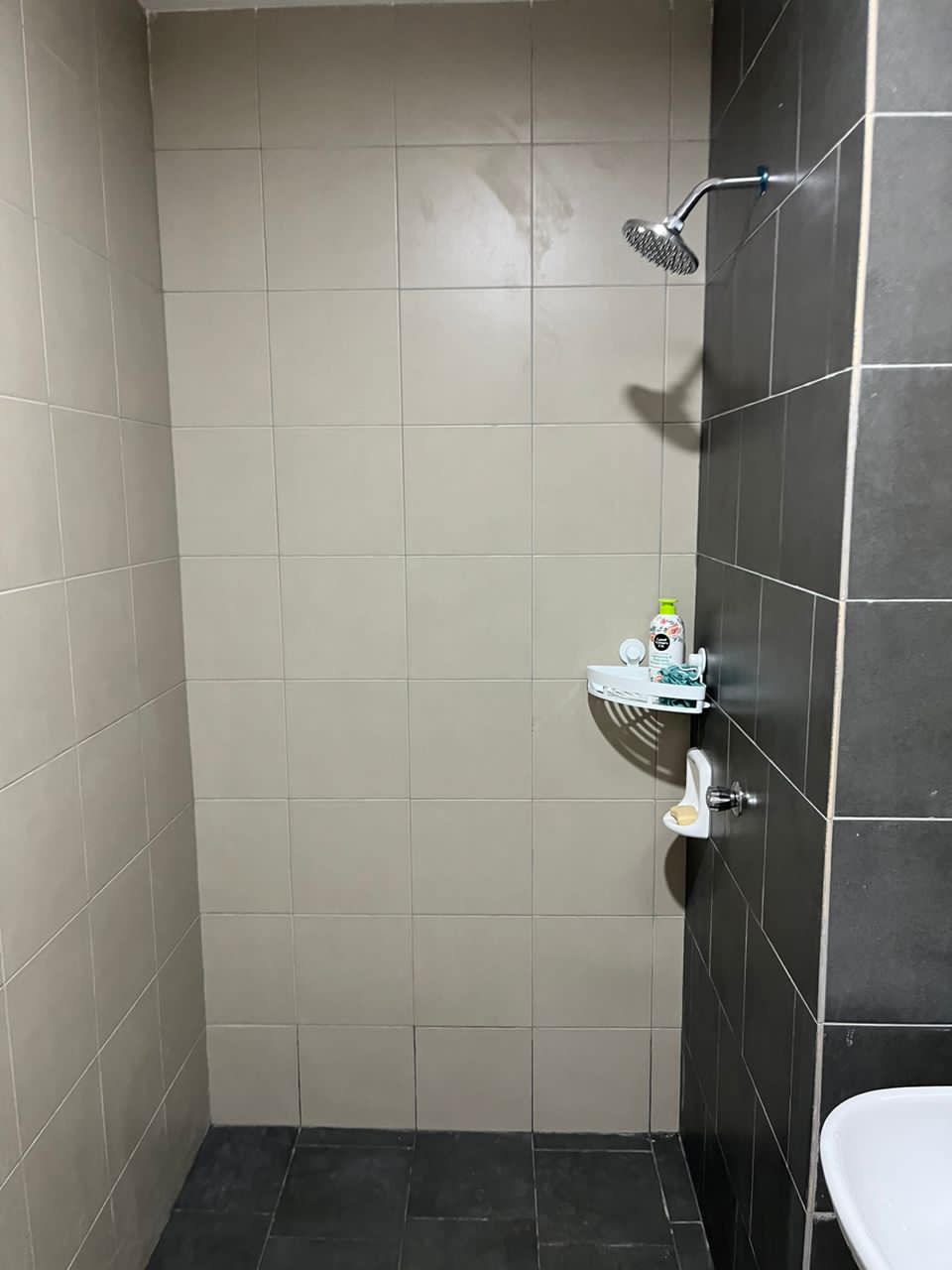 BSP LBS SKylake Residence - photo 6