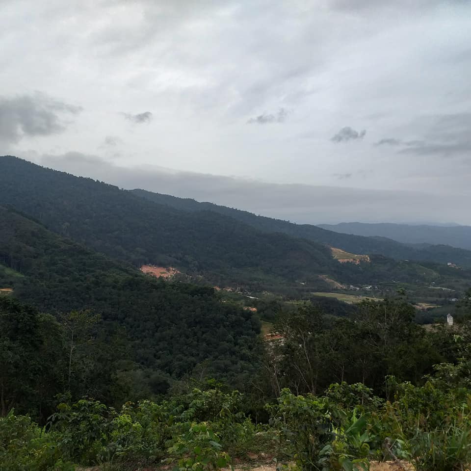 Broga Nice 5acre Freehold Agricultural Land - photo 2