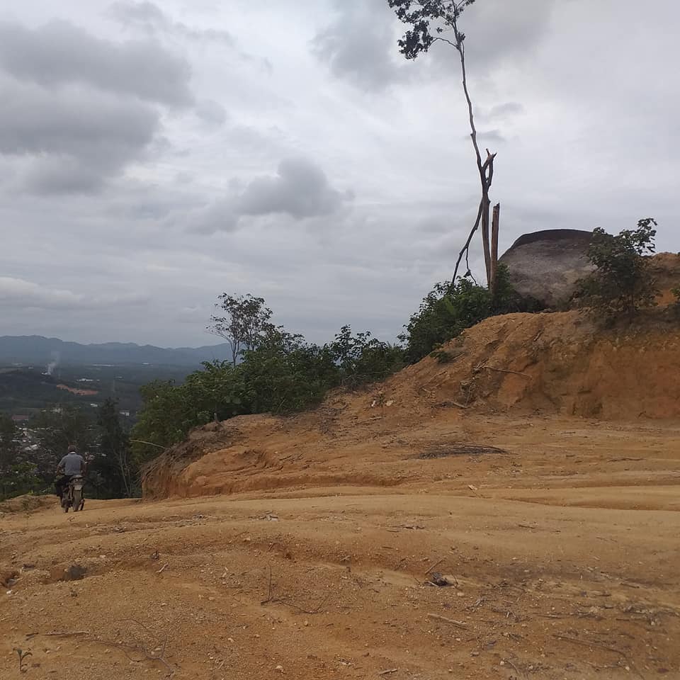 Broga Nice 5acre Freehold Agricultural Land - photo 3