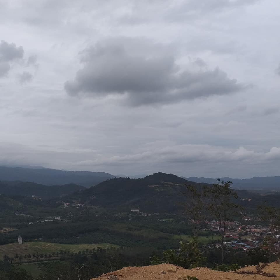 Broga Nice 5acre Freehold Agricultural Land - photo 4