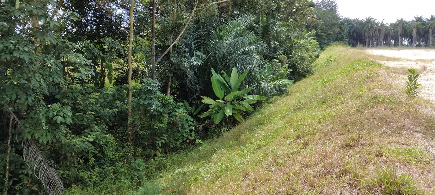 Bangi Freehold Agriculture Zone Industrial land - photo 2