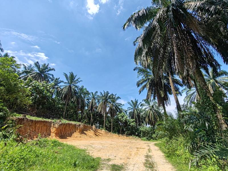Residential Zone Agriculture Land For Sale Rawang - photo 6
