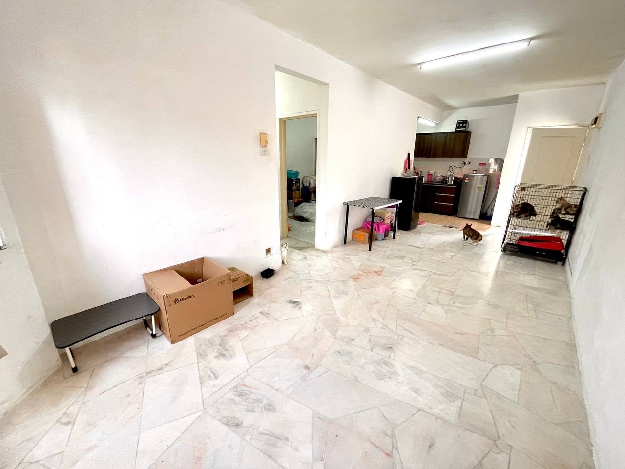 Apartment Desaminium Flora, Equine Park - photo 3